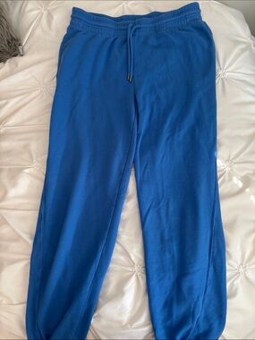 AERIE Royal Blue Jogger Pants